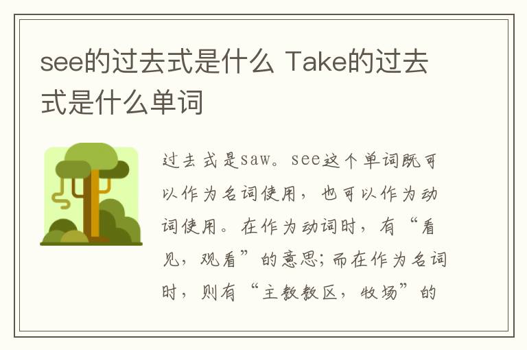 see的过去式是什么 Take的过去式是什么单词