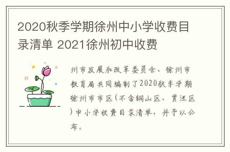 2020秋季学期徐州中小学收费目录清单 2021徐州初中收费