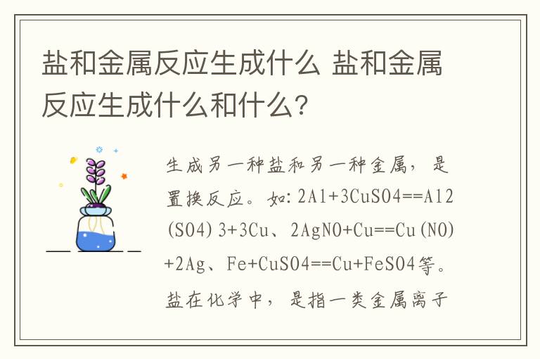 盐和金属反应生成什么 盐和金属反应生成什么和什么?