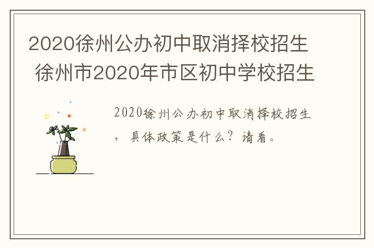 2020徐州公办初中取消择校招生 徐州市2020年市区初中学校招生实施办法