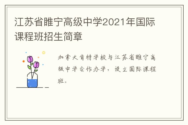 江苏省睢宁高级中学2021年国际课程班招生简章