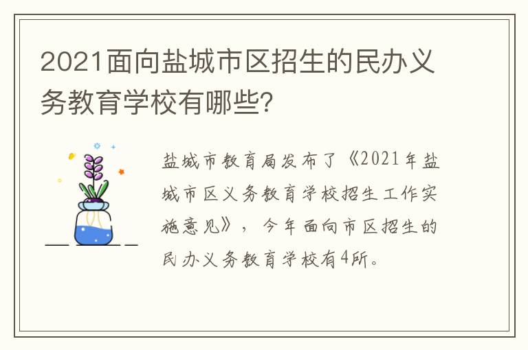 2021面向盐城市区招生的民办义务教育学校有哪些？