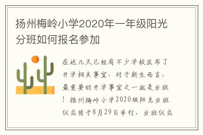 扬州梅岭小学2020年一年级阳光分班如何报名参加