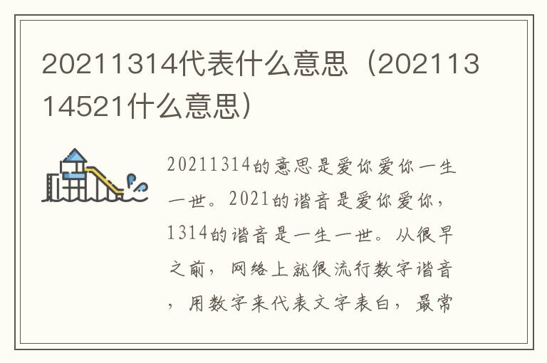 20211314代表什么意思（20211314521什么意思）