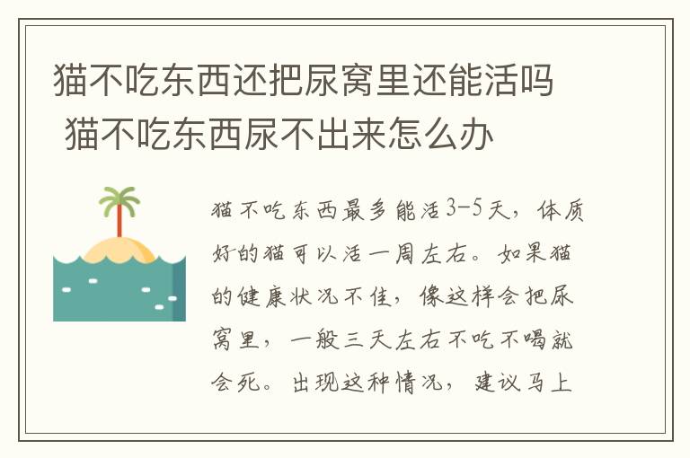 猫不吃东西还把尿窝里还能活吗 猫不吃东西尿不出来怎么办