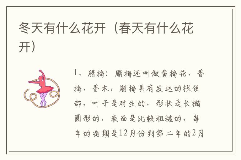 冬天有什么花开（春天有什么花开）