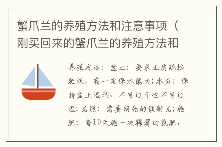 蟹爪兰的养殖方法和注意事项（刚买回来的蟹爪兰的养殖方法和注意事项）