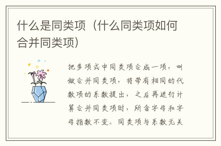 什么是同类项（什么同类项如何合并同类项）