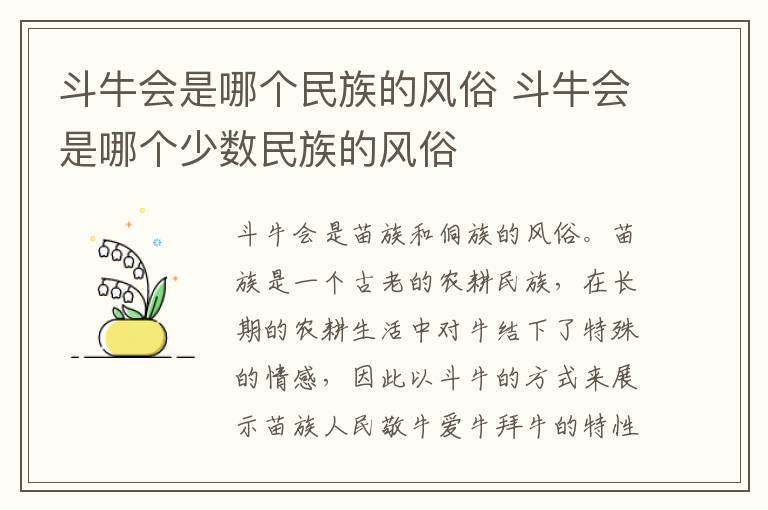 斗牛会是哪个民族的风俗 斗牛会是哪个少数民族的风俗