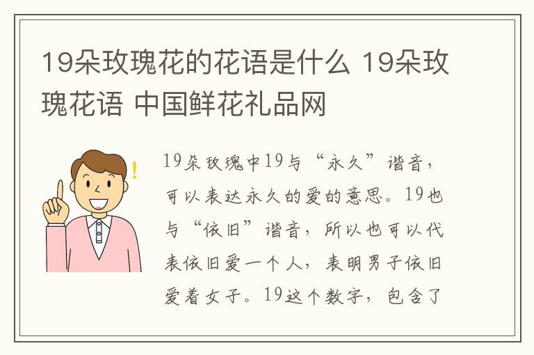 19朵玫瑰花的花语是什么 19朵玫瑰花语 中国鲜花礼品网