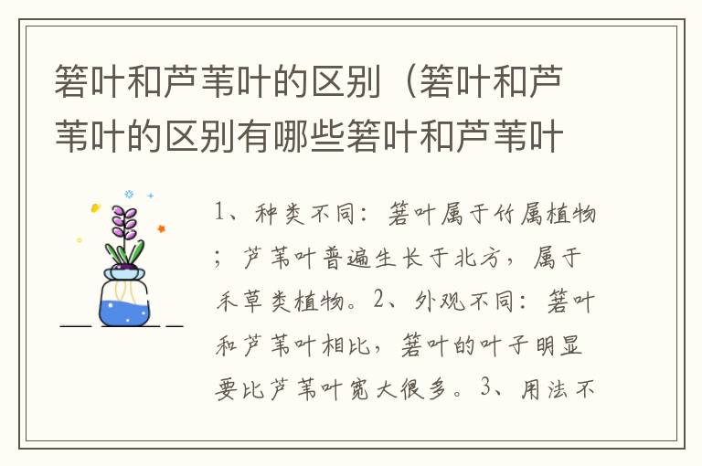 箬叶和芦苇叶的区别（箬叶和芦苇叶的区别有哪些箬叶和芦苇叶一样吗?）