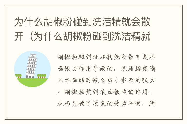 为什么胡椒粉碰到洗洁精就会散开（为什么胡椒粉碰到洗洁精就会散开作文）