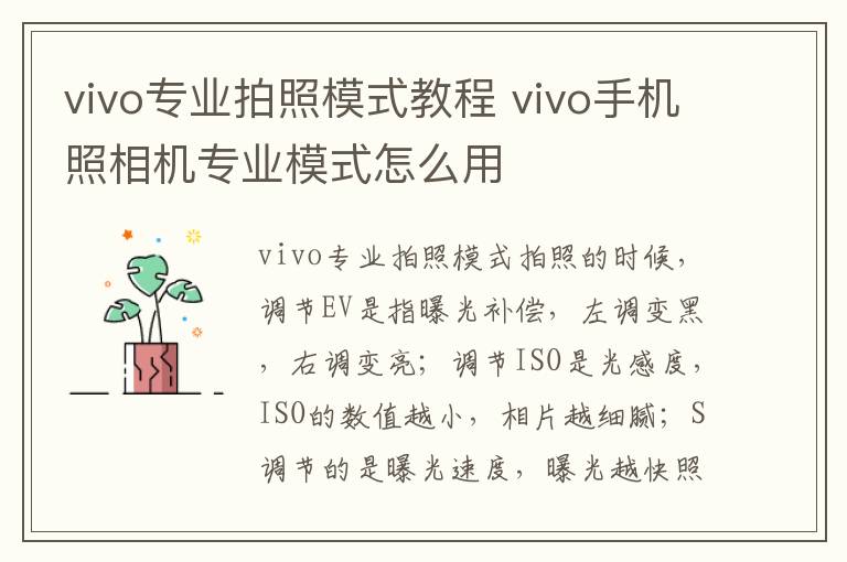 vivo专业拍照模式教程 vivo手机照相机专业模式怎么用