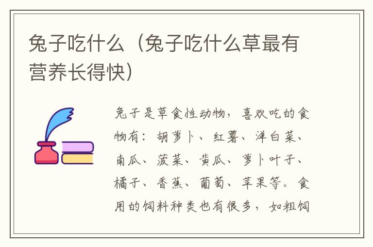 兔子吃什么（兔子吃什么草最有营养长得快）