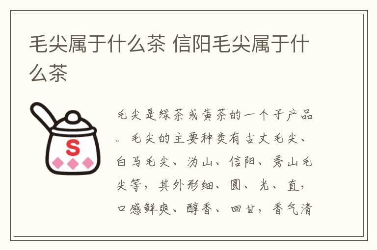 毛尖属于什么茶 信阳毛尖属于什么茶