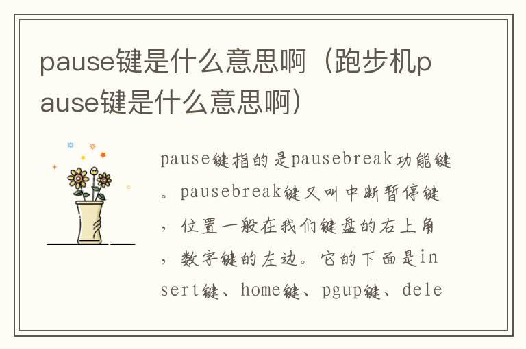 pause键是什么意思啊（跑步机pause键是什么意思啊）