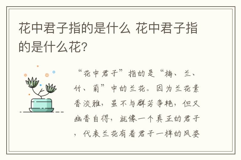 花中君子指的是什么 花中君子指的是什么花?