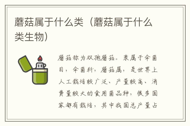 蘑菇属于什么类（蘑菇属于什么类生物）