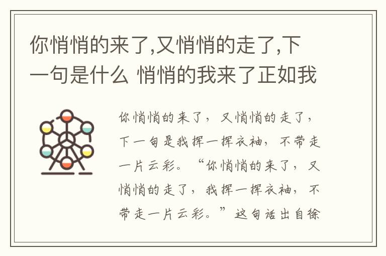 你悄悄的来了,又悄悄的走了,下一句是什么 悄悄的我来了正如我悄悄的走下一句