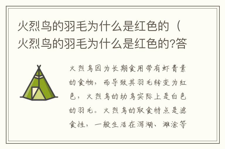 火烈鸟的羽毛为什么是红色的（火烈鸟的羽毛为什么是红色的?答案是什么?）