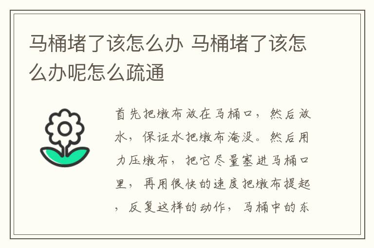 马桶堵了该怎么办 马桶堵了该怎么办呢怎么疏通