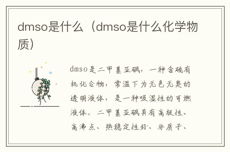 dmso是什么（dmso是什么化学物质）