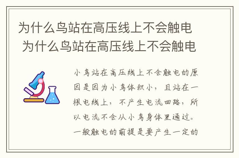 为什么鸟站在高压线上不会触电 为什么鸟站在高压线上不会触电而人不行