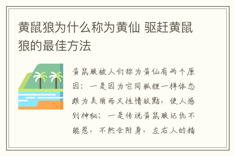 黄鼠狼为什么称为黄仙 驱赶黄鼠狼的最佳方法