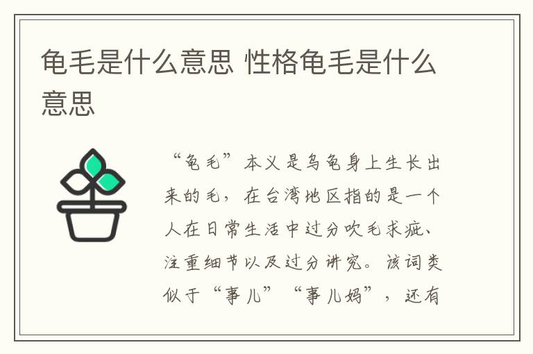 龟毛是什么意思 性格龟毛是什么意思