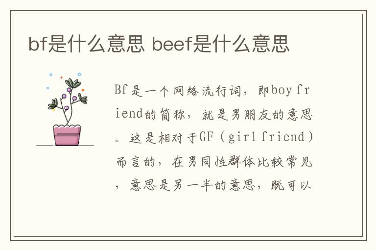 bf是什么意思 beef是什么意思