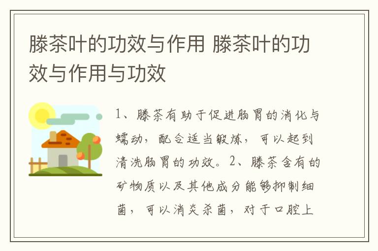 滕茶叶的功效与作用 滕茶叶的功效与作用与功效