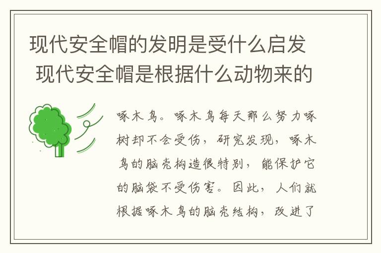 现代安全帽的发明是受什么启发 现代安全帽是根据什么动物来的