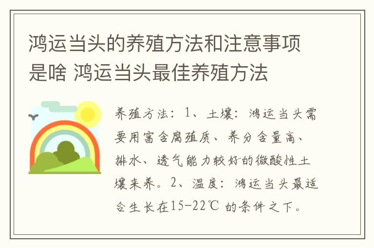 鸿运当头的养殖方法和注意事项是啥 鸿运当头最佳养殖方法