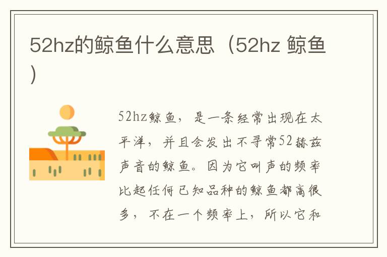 52hz的鲸鱼什么意思（52hz 鲸鱼）