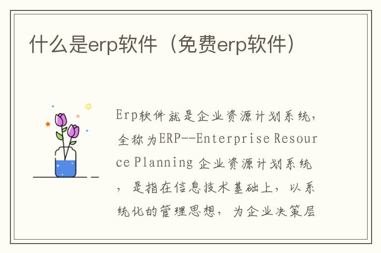 什么是erp软件（免费erp软件）