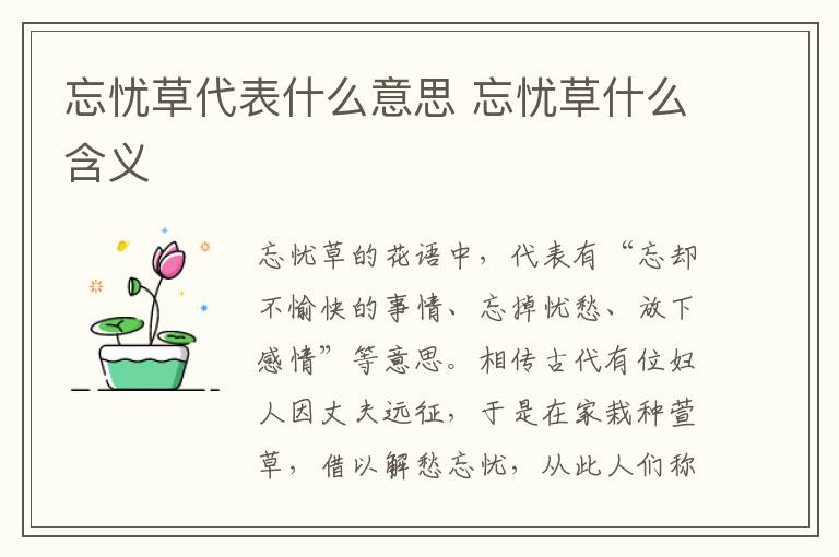 忘忧草代表什么意思 忘忧草什么含义