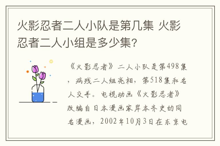 火影忍者二人小队是第几集 火影忍者二人小组是多少集?