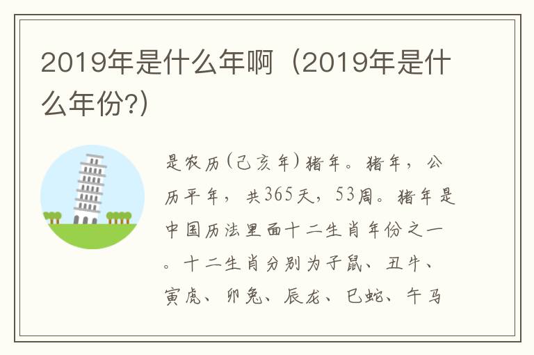 2019年是什么年啊（2019年是什么年份?）