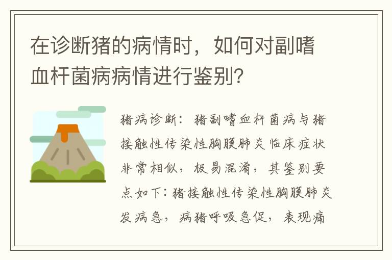 在诊断猪的病情时，如何对副嗜血杆菌病病情进行鉴别？