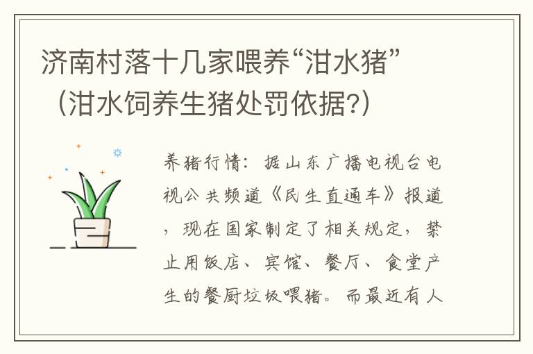 济南村落十几家喂养“泔水猪”（泔水饲养生猪处罚依据?）