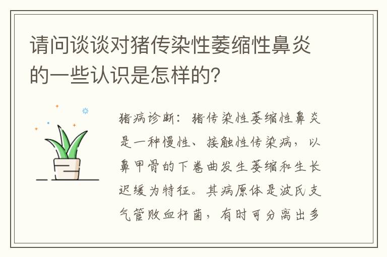 请问谈谈对猪传染性萎缩性鼻炎的一些认识是怎样的？