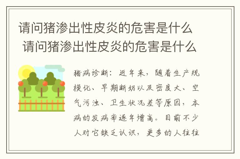 请问猪渗出性皮炎的危害是什么 请问猪渗出性皮炎的危害是什么呢