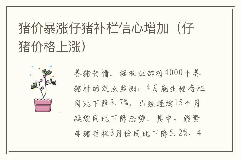 猪价暴涨仔猪补栏信心增加（仔猪价格上涨）