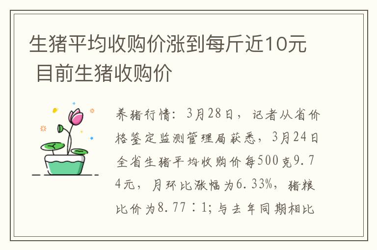 生猪平均收购价涨到每斤近10元 目前生猪收购价