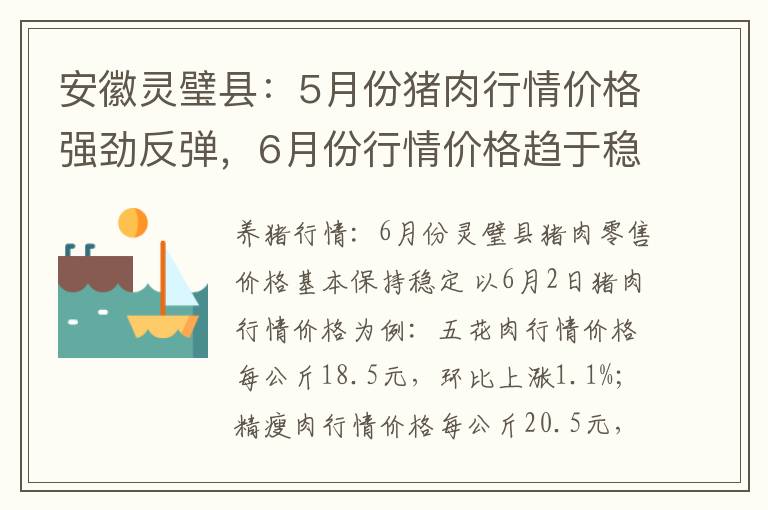 安徽灵璧县：5月份猪肉行情价格强劲反弹，6月份行情价格趋于稳定