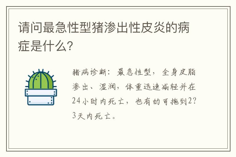 请问最急性型猪渗出性皮炎的病症是什么？