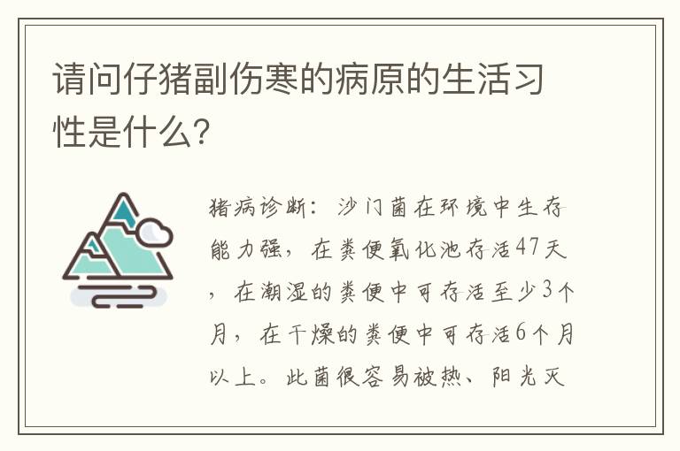 请问仔猪副伤寒的病原的生活习性是什么？