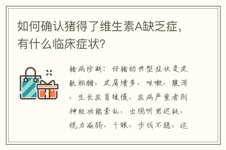 如何确认猪得了维生素A缺乏症，有什么临床症状？