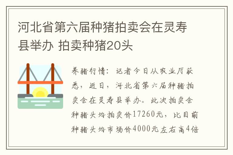 河北省第六届种猪拍卖会在灵寿县举办 拍卖种猪20头