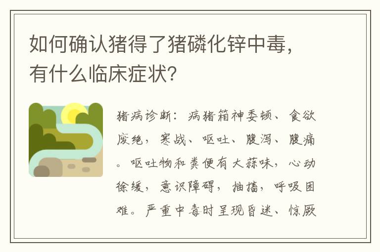 如何确认猪得了猪磷化锌中毒，有什么临床症状？